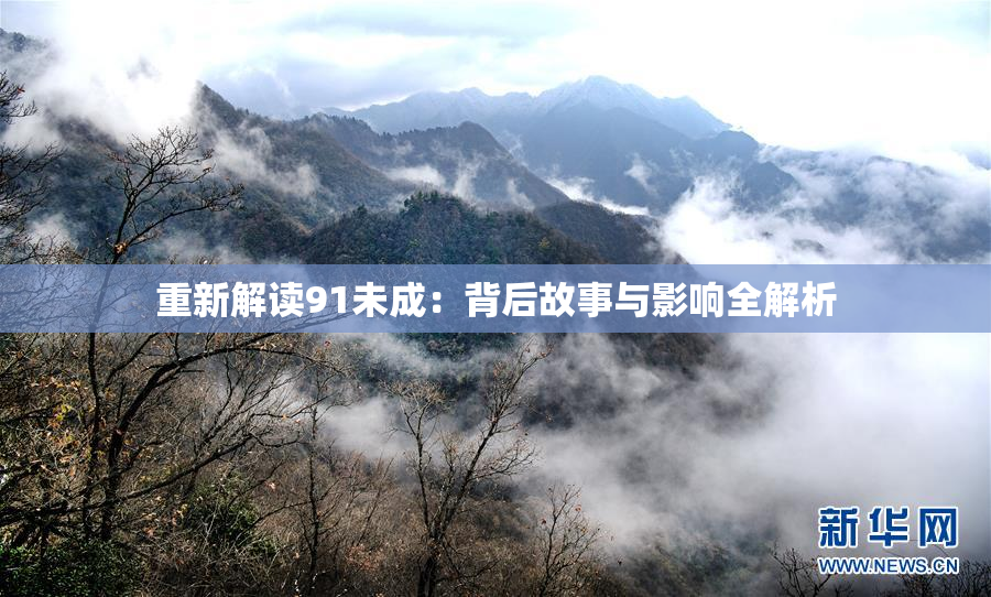重新解读91未成：背后故事与影响全解析