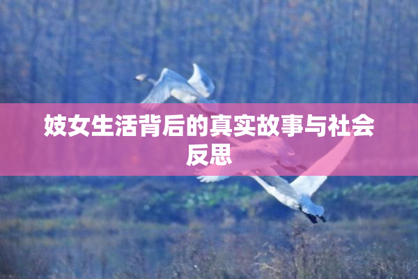 妓女生活背后的真实故事与社会反思