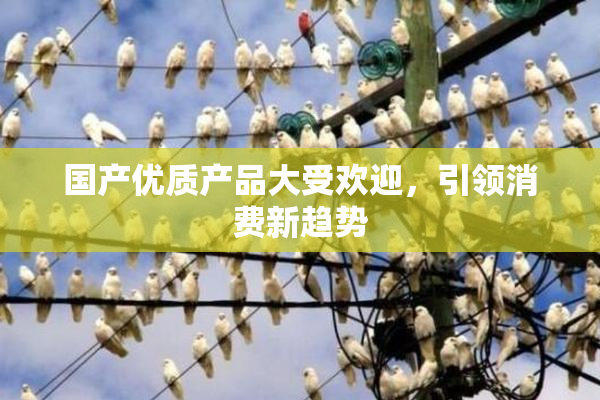 国产优质产品大受欢迎，引领消费新趋势