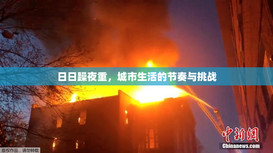 日日躁夜重，城市生活的节奏与挑战