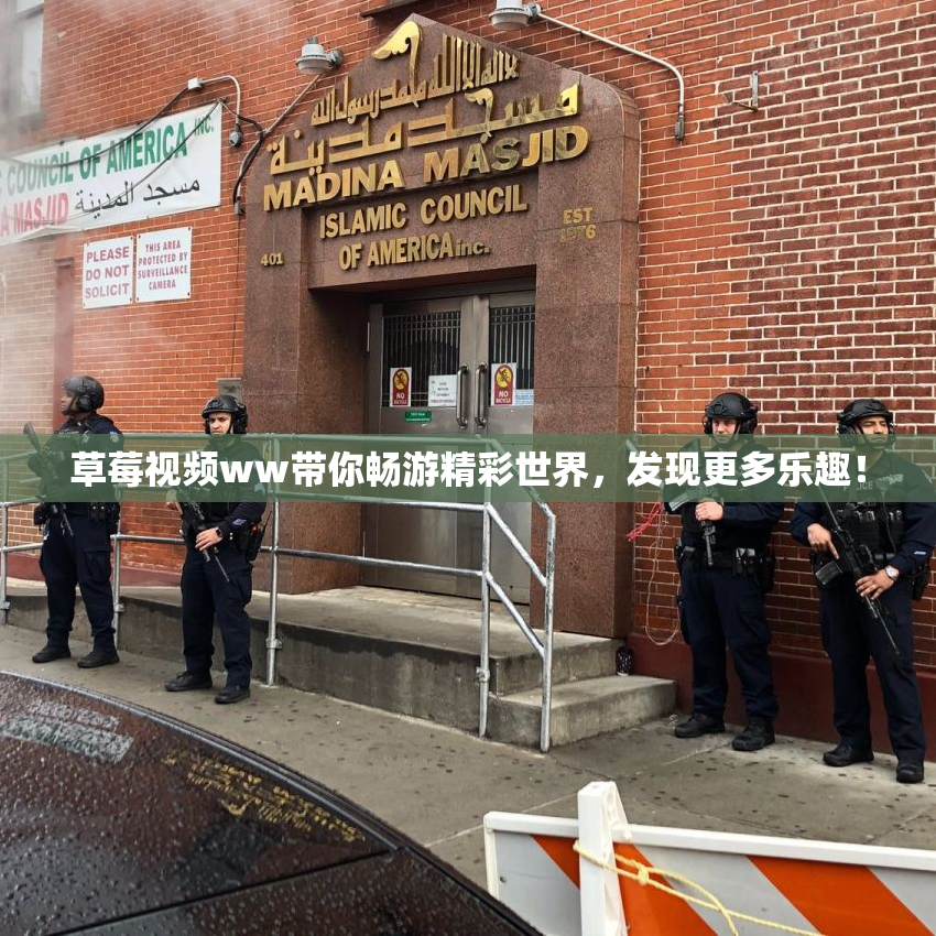 草莓视频ww带你畅游精彩世界，发现更多乐趣！