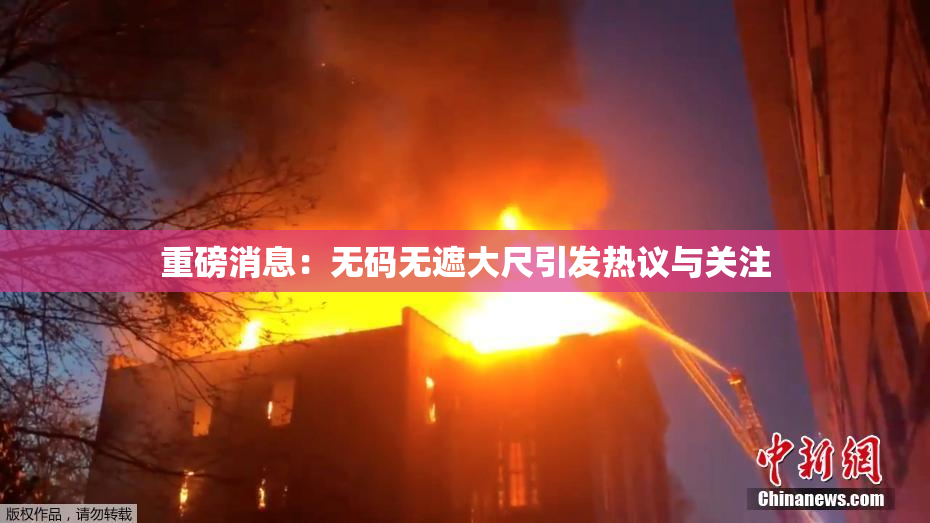 重磅消息：无码无遮大尺引发热议与关注
