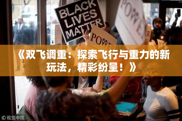 《双飞调重：探索飞行与重力的新玩法，精彩纷呈！》