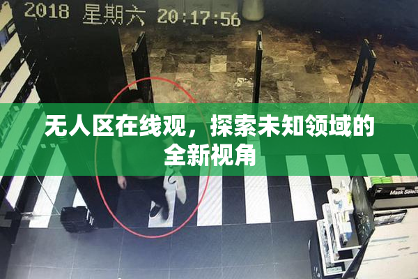 无人区在线观，探索未知领域的全新视角