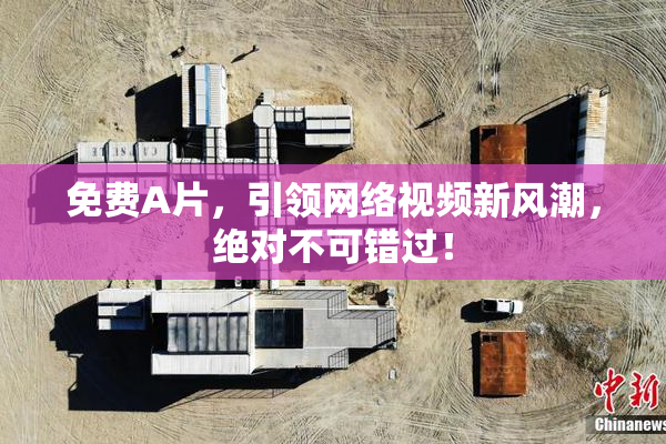 免费A片，引领网络视频新风潮，绝对不可错过！