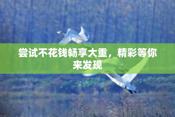 尝试不花钱畅享大重，精彩等你来发现