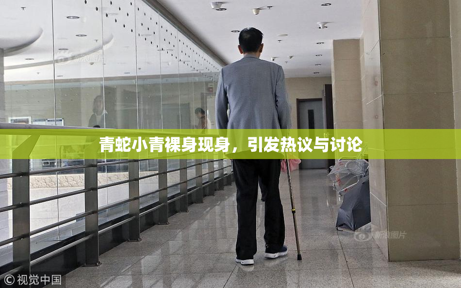 青蛇小青裸身现身，引发热议与讨论