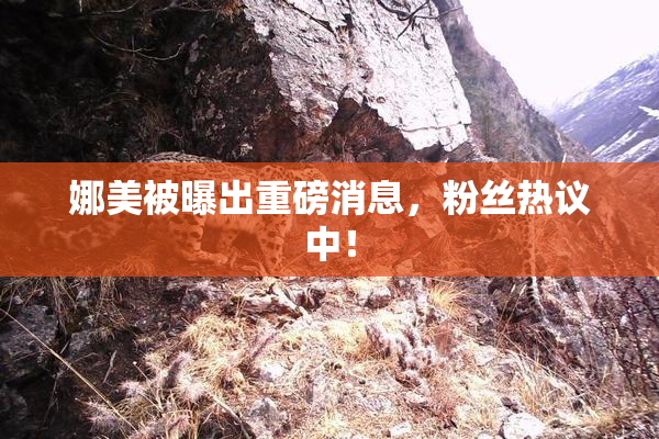 娜美被曝出重磅消息，粉丝热议中！