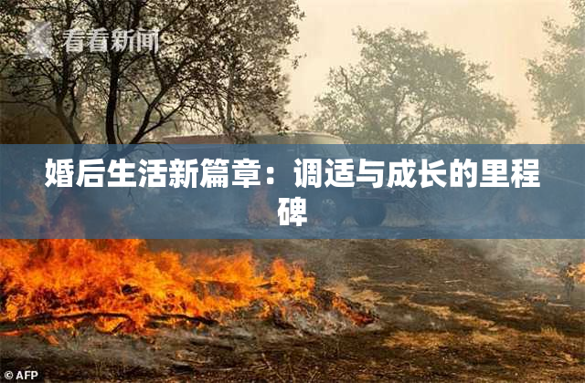 婚后生活新篇章：调适与成长的里程碑