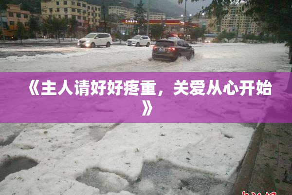 《主人请好好疼重，关爱从心开始》