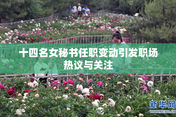 十四名女秘书任职变动引发职场热议与关注