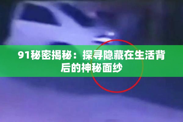 91秘密揭秘：探寻隐藏在生活背后的神秘面纱