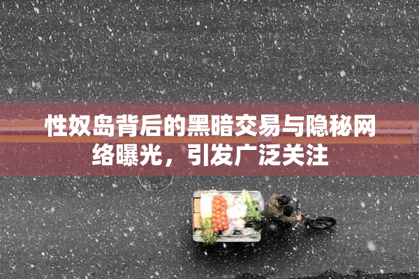 性奴岛背后的黑暗交易与隐秘网络曝光，引发广泛关注