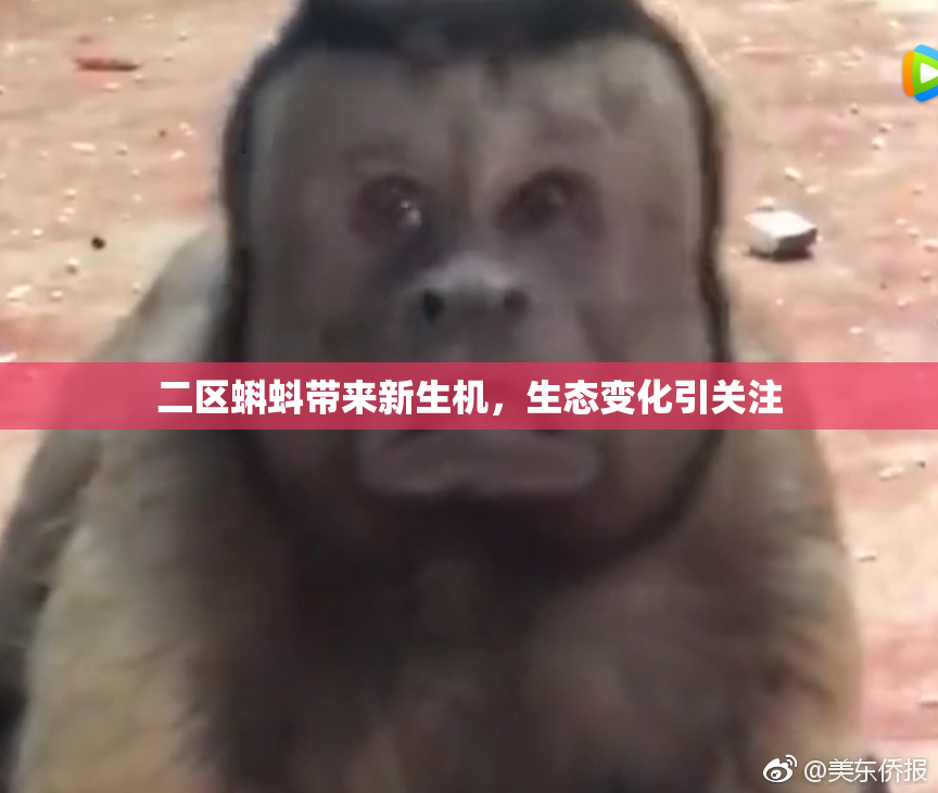 二区蝌蚪带来新生机，生态变化引关注