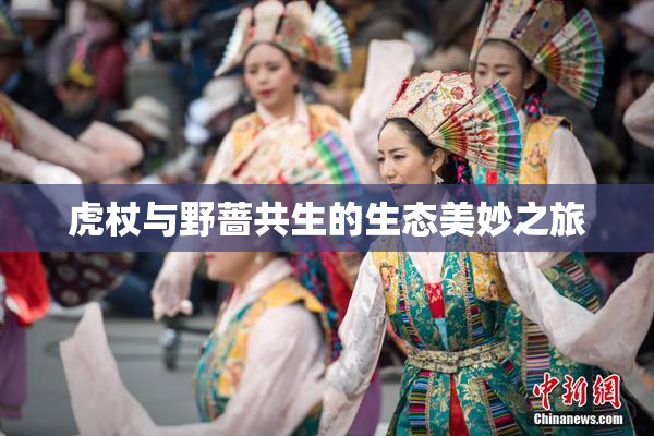 虎杖与野蔷共生的生态美妙之旅