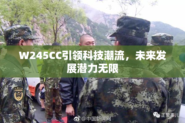 W245CC引领科技潮流，未来发展潜力无限