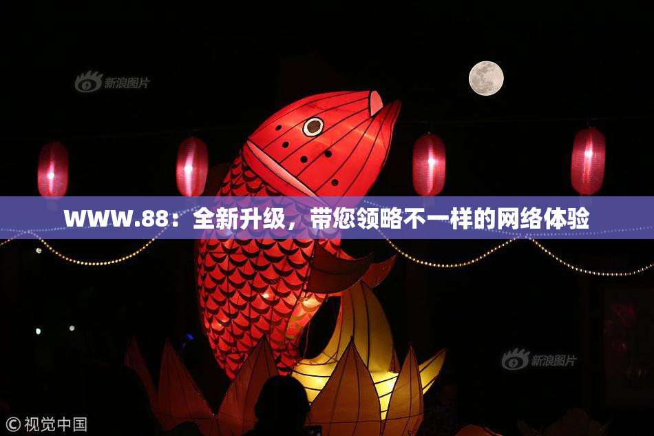 WWW.88：全新升级，带您领略不一样的网络体验
