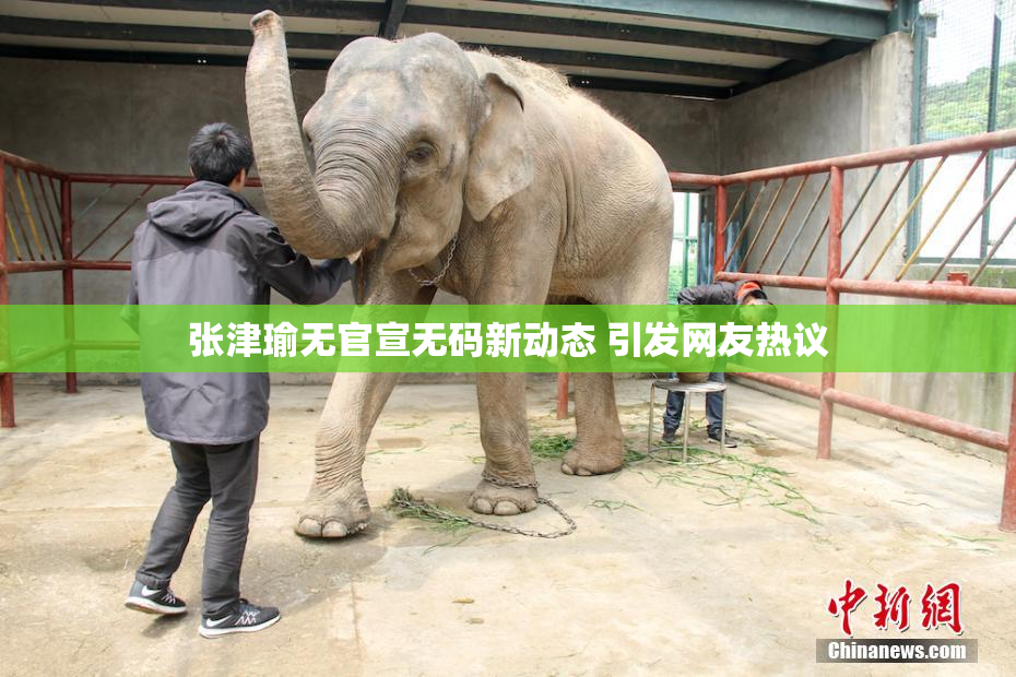 张津瑜无官宣无码新动态 引发网友热议
