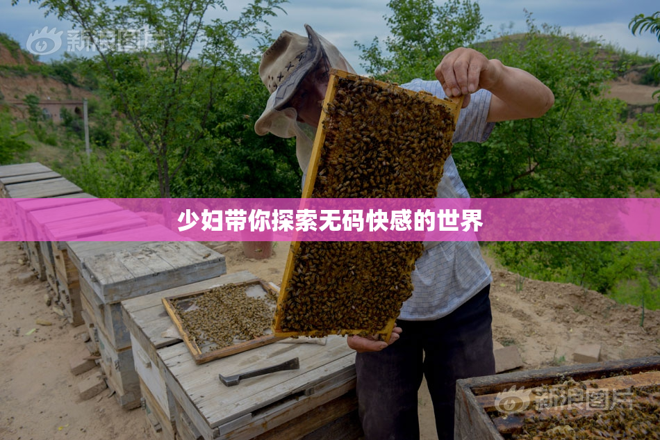 少妇带你探索无码快感的世界