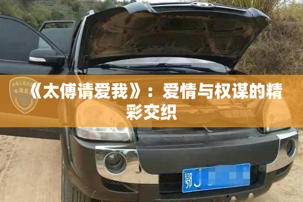 《太傅请爱我》：爱情与权谋的精彩交织