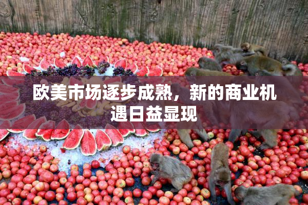 欧美市场逐步成熟，新的商业机遇日益显现