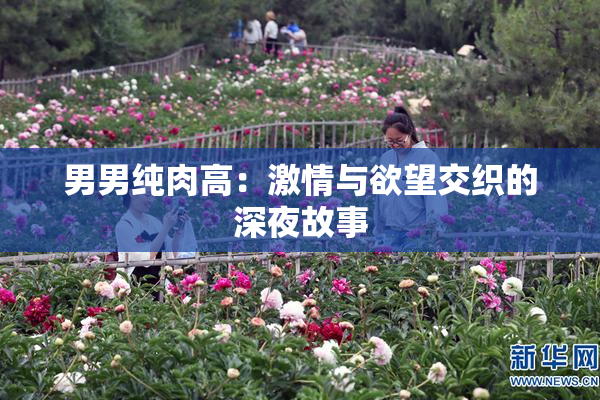 男男纯肉高：激情与欲望交织的深夜故事