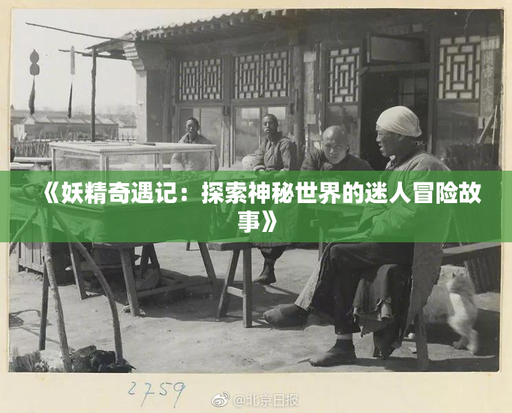 《妖精奇遇记：探索神秘世界的迷人冒险故事》
