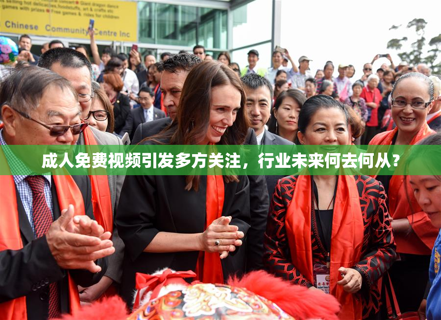 成人免费视频引发多方关注，行业未来何去何从？