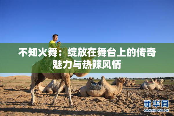 不知火舞：绽放在舞台上的传奇魅力与热辣风情
