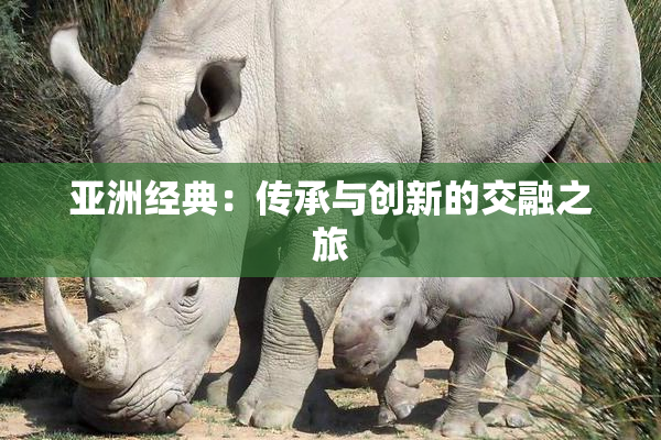 亚洲经典：传承与创新的交融之旅