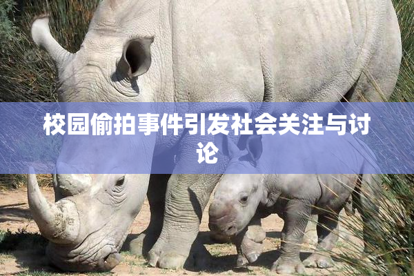 校园偷拍事件引发社会关注与讨论