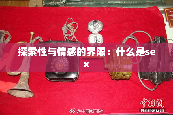 探索性与情感的界限：什么是sex