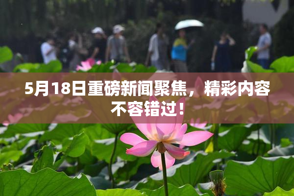 5月18日重磅新闻聚焦，精彩内容不容错过！