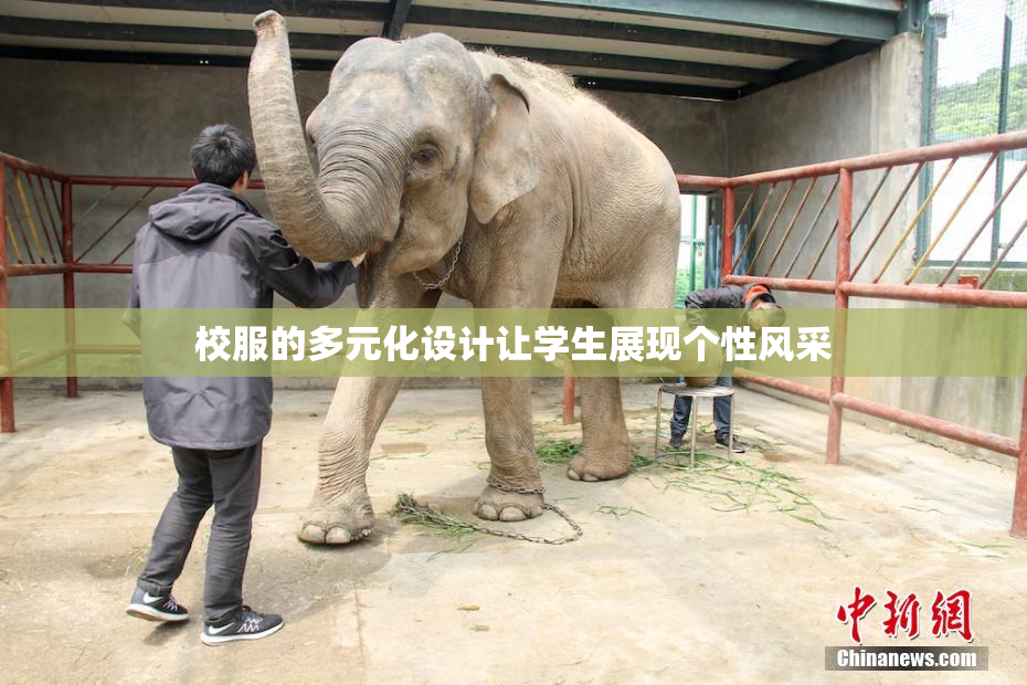 校服的多元化设计让学生展现个性风采