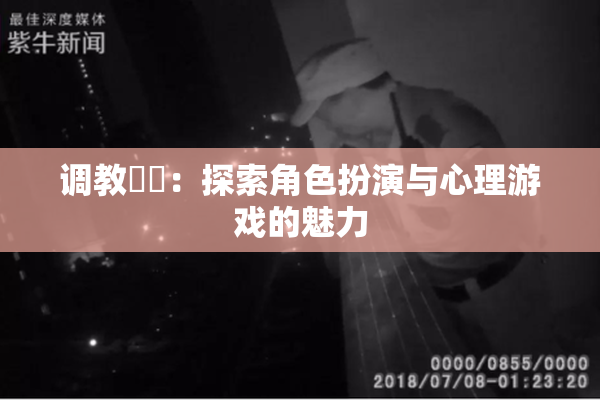 调教妺妺：探索角色扮演与心理游戏的魅力