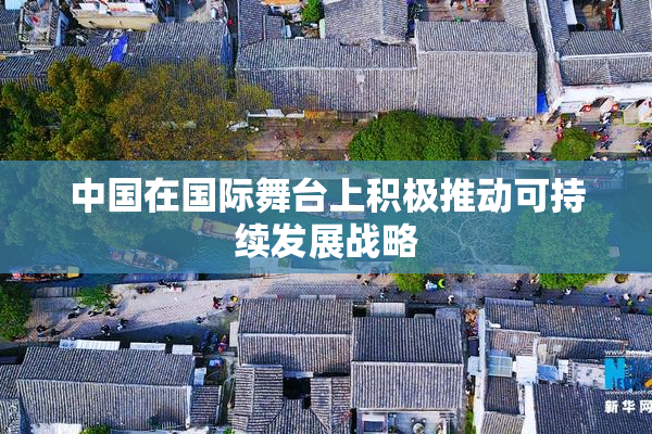 中国在国际舞台上积极推动可持续发展战略