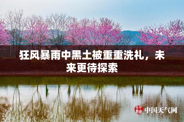 狂风暴雨中黑土被重重洗礼，未来更待探索