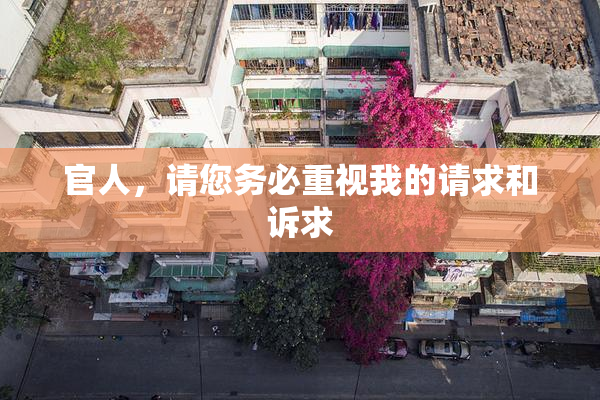 官人，请您务必重视我的请求和诉求