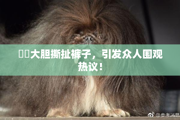 妺妺大胆撕扯裤子，引发众人围观热议！