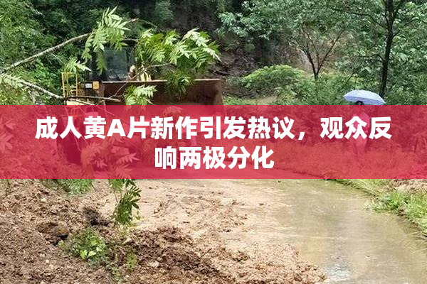 成人黄A片新作引发热议，观众反响两极分化