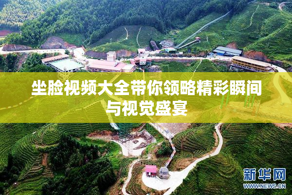 坐脸视频大全带你领略精彩瞬间与视觉盛宴
