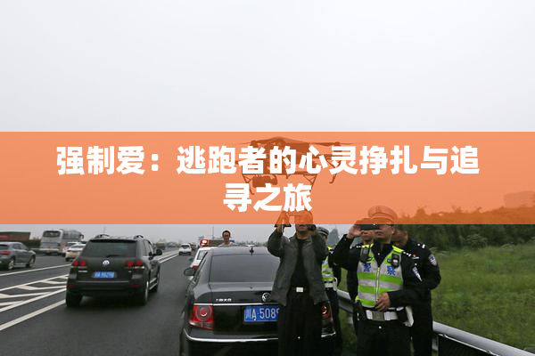 强制爱：逃跑者的心灵挣扎与追寻之旅