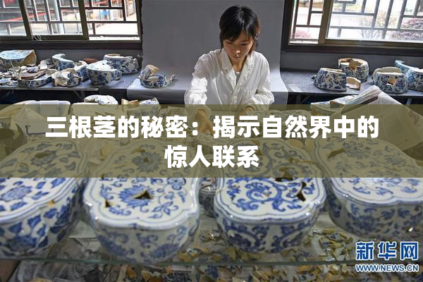 三根茎的秘密：揭示自然界中的惊人联系