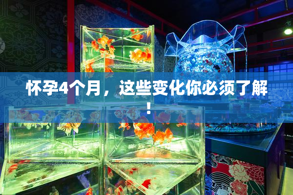 怀孕4个月，这些变化你必须了解！