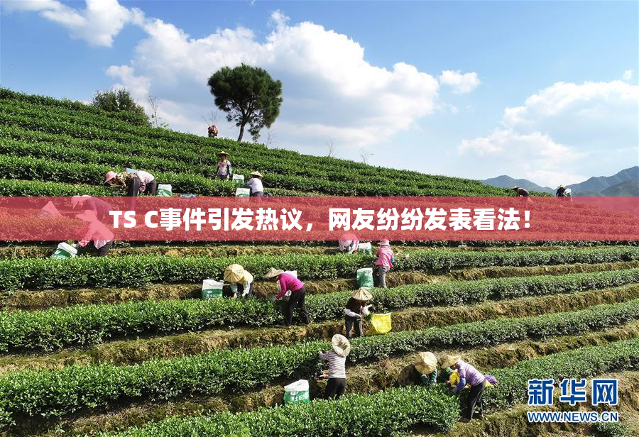 TS C事件引发热议，网友纷纷发表看法！