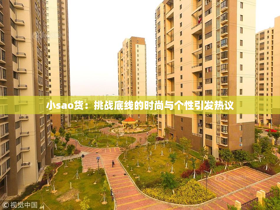 小sao货：挑战底线的时尚与个性引发热议