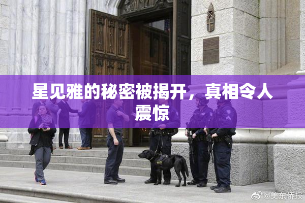 星见雅的秘密被揭开，真相令人震惊