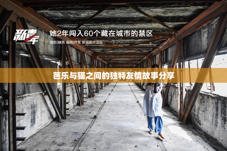 芭乐与猫之间的独特友情故事分享