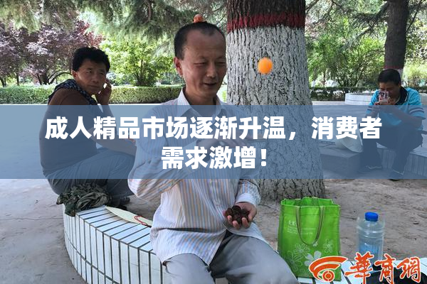 成人精品市场逐渐升温，消费者需求激增！