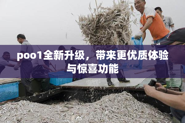 poo1全新升级，带来更优质体验与惊喜功能
